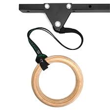 Celling Ring/Rope Hanger